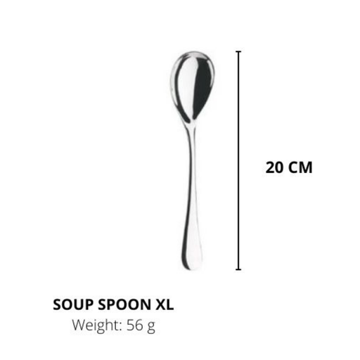 Lianyu Stainless Steel Spoons, Durable Metal Spoons,Table Spoon,Silverware Spoon 20CM