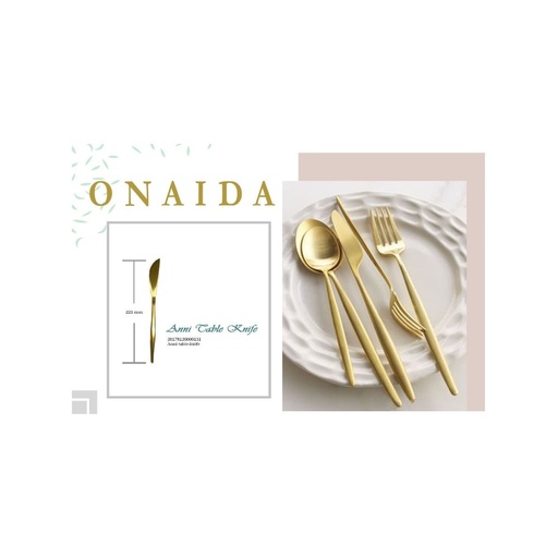 ONAIDA 221mm Table Knife Gold