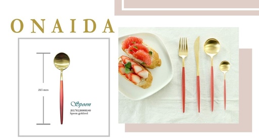 ONAIDA 215mm Dinner Spoon Gold Red