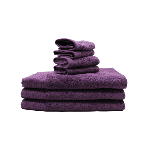 LINENS N' THINGS Face Towel Charlotte Collection 12" x 12" Winter Bloom