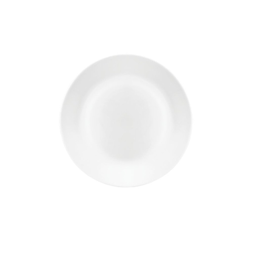 Plano Quarter Plater  Dinnerware Tableware 7.5in