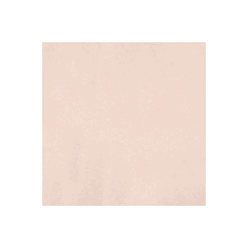 APO Avqt1.3Mmx30Cm/60S Mushroom