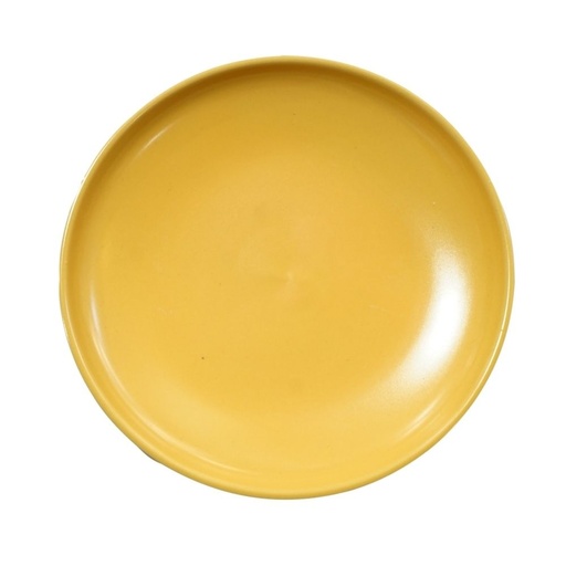 Round Minimalist Nordic Dish Meal Plate 10in