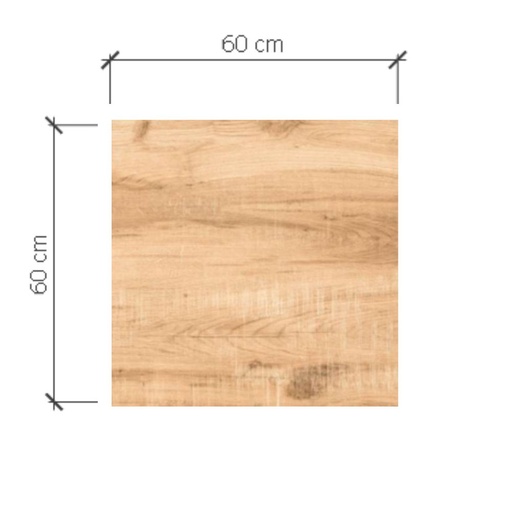 ROSSIO WSP 60X60 4048 ALPINE BROWN